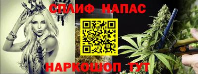 спайс Малгобек
