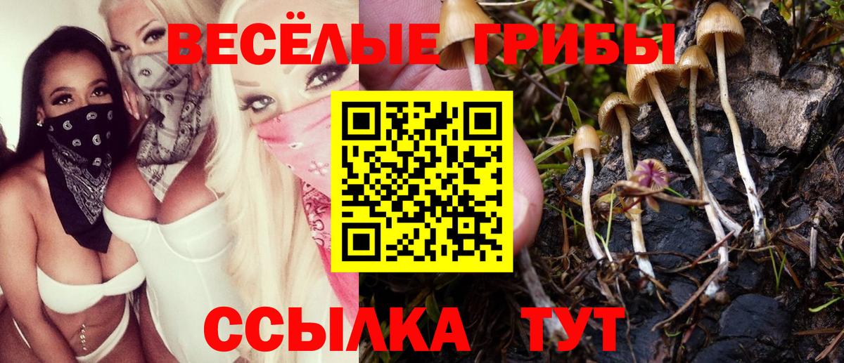 Великий Новгород  Галлюциногенные грибы мицелий  Вход с VPN  Псилоцибиновые грибы Psilocybe 