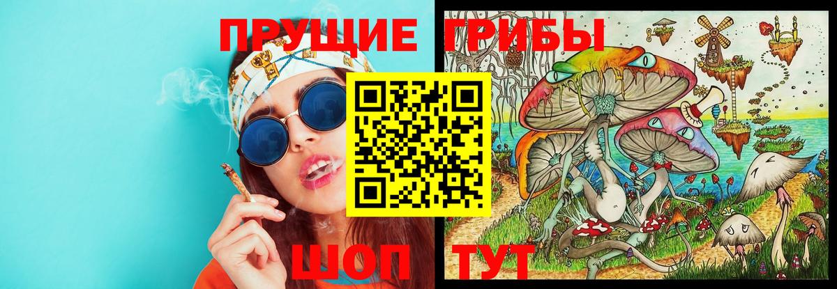 Псилоцибиновые грибы GOLDEN TEACHER Великий Новгород